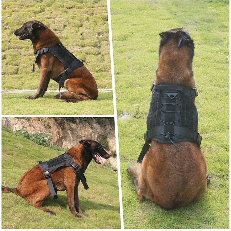 Dog Vest Dog Harness Vest Dog Training Vest